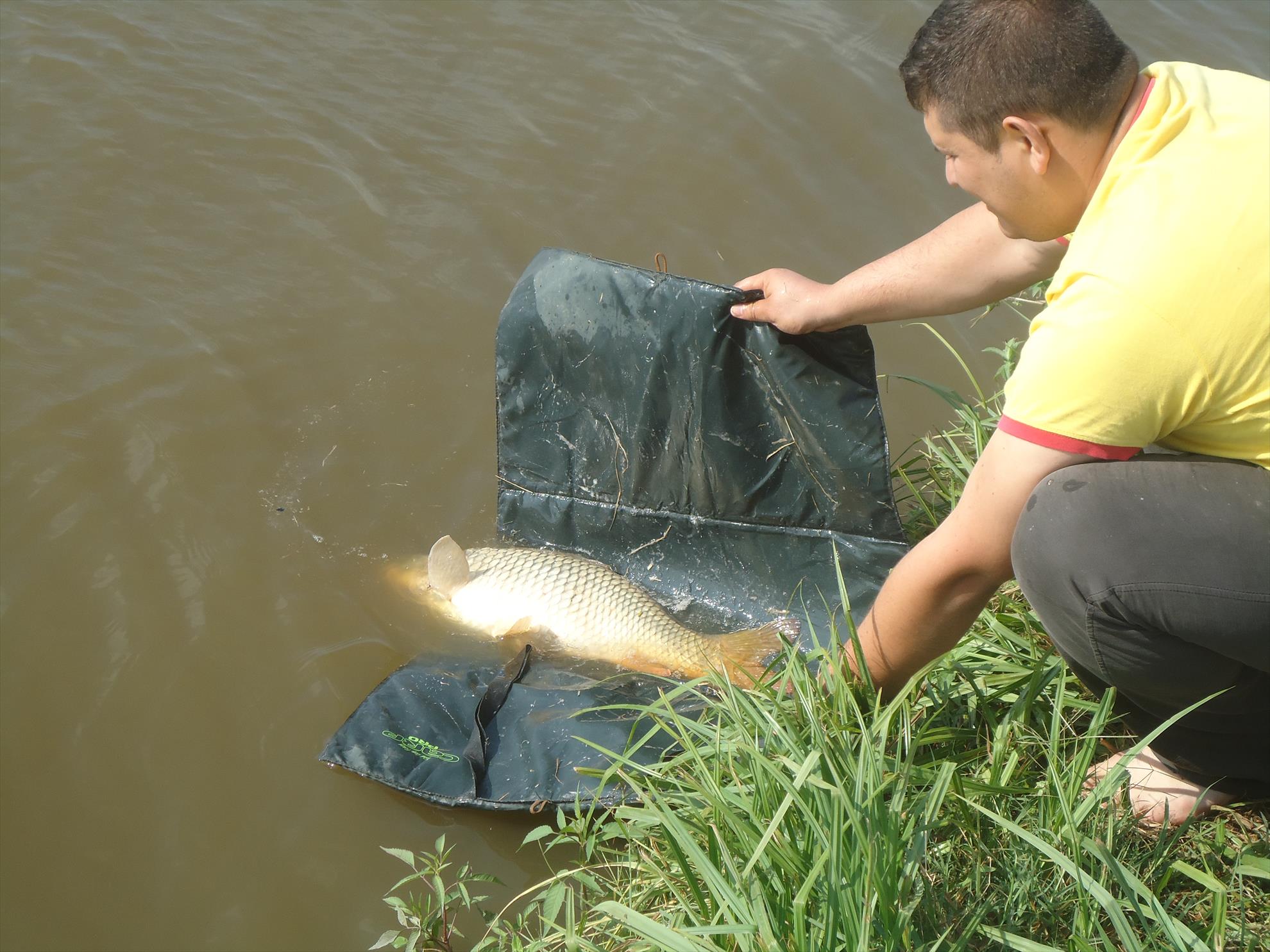 Moara vlasiei 26-27-08-2013 - dsc03912.JPG